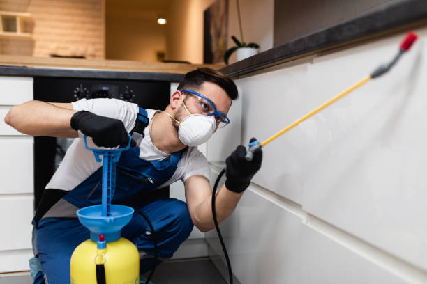 Best Emergency Pest Control  in Berea, SC