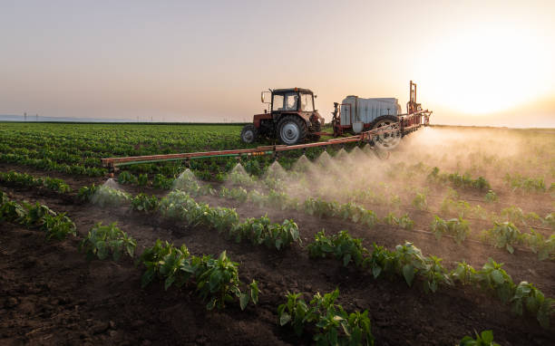 Best Pest Removal Services  in Berea, SC
