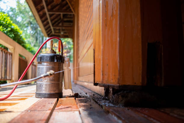 Best Local Pest Control Services  in Berea, SC