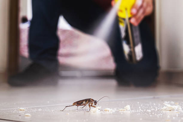 Best Best Pest Control Companies  in Berea, SC
