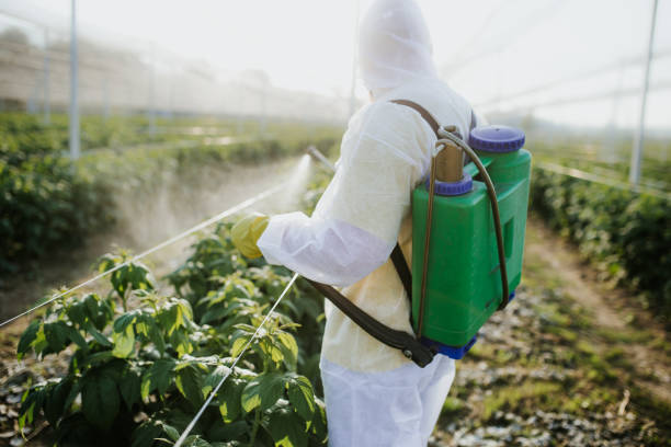 Best Best Pest Control Companies  in Berea, SC